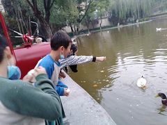 -西安市长乐公园