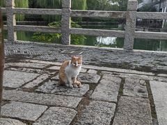 -巡塘古镇