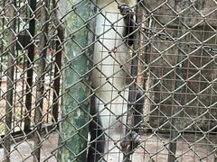 -深圳野生动物园