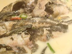 水煮黄鸭叫-耕渔小院·湖南鱼鲜(望城店)