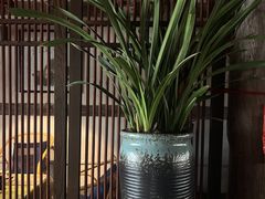 -普洱茶府(博乐广场店)