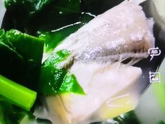 -蛇口康乐快餐鱼仔档(翠苑小区店)