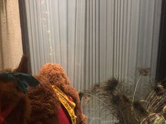 -JOJO实景沉浸侦探剧本杀(大悦城店)