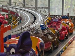 -南宫五洲植物乐园