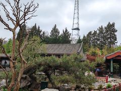 -月坛公园