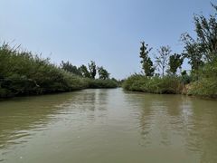 -泗洪洪泽湖湿地景区