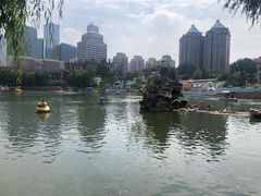 -团结湖公园