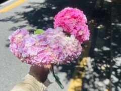 -花二家·生活馆(六运小区店)