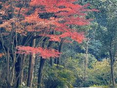 -黄公望隐居地