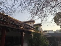 -绳金塔