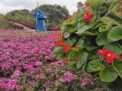 -广州市流溪河国家森林公园
