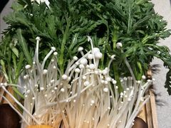 -蝎王府羊蝎子(虎坊桥总店)