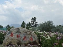 -广州市流溪河国家森林公园