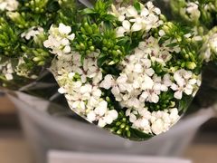 -鹿岛会员店 (龙湖三千集天街店)