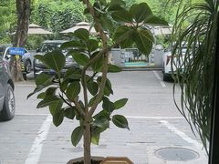 -丽泽山庄·生态怀柔菜·虹鳟鱼(红螺寺店)