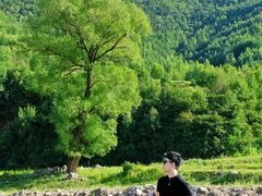 -芦芽山旅游度假区