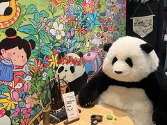 -轩客会(熊猫书店)