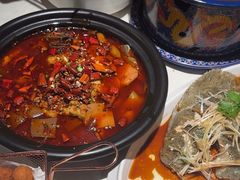 -大鸭梨烤鸭店(花园村店)