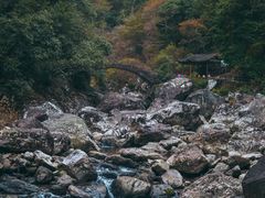 -楠溪江风景名胜区