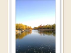 -中关村生命科学园