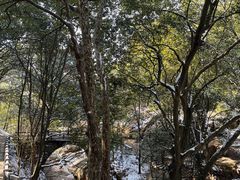-白鹿洞书院