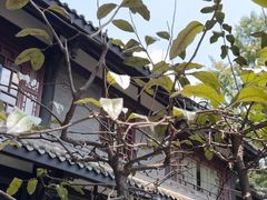 -大妙火锅·非物质文化遗产(东湖公园店)