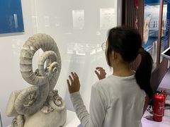 -贝壳王国博物馆