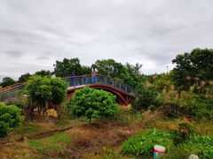 -鹤之洲湿地公园