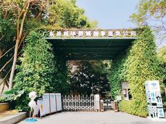 -华侨城湿地公园