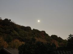 -杭州半山国家森林公园