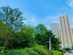 -长白岛森林公园