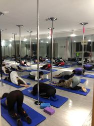 -柯宏＆雅婷塑形钢管舞蹈