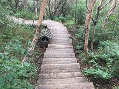 -白草畔自然风景区