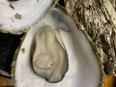 -烧蠔帮·湛江生蚝(茂南万达店)