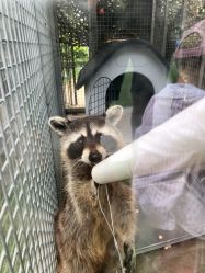 -萌宠亲子动物乐园(槐房万达店)