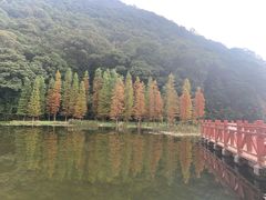 -广州市石门国家森林公园