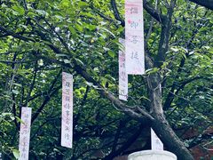 -西安大兴善寺