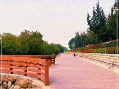 -宝安西湾红树林湿地公园