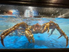 -盒马鲜生(金桥国际广场店)