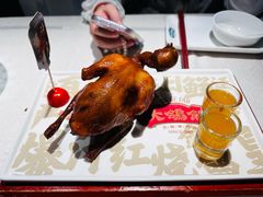 -大鸽饭(动物园店)