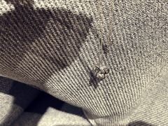 -Tiffany & Co.蒂芙尼
(武汉武商MALL店)