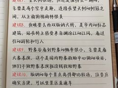 -西双版纳傣族园