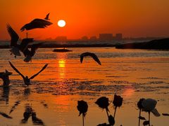 -老虎石海上公园