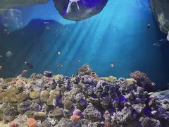 -福州罗源湾海洋世界旅游区