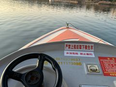 -洋湖国家湿地公园