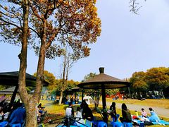 -梁鸿国家湿地公园