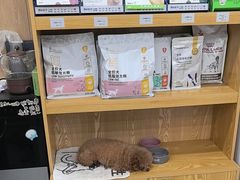 -四月宠物医院·猫专科·心脏专科·内科(转塘店)
