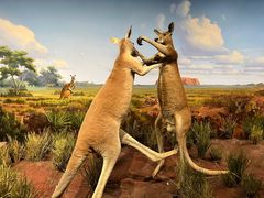 -陕西自然博物馆