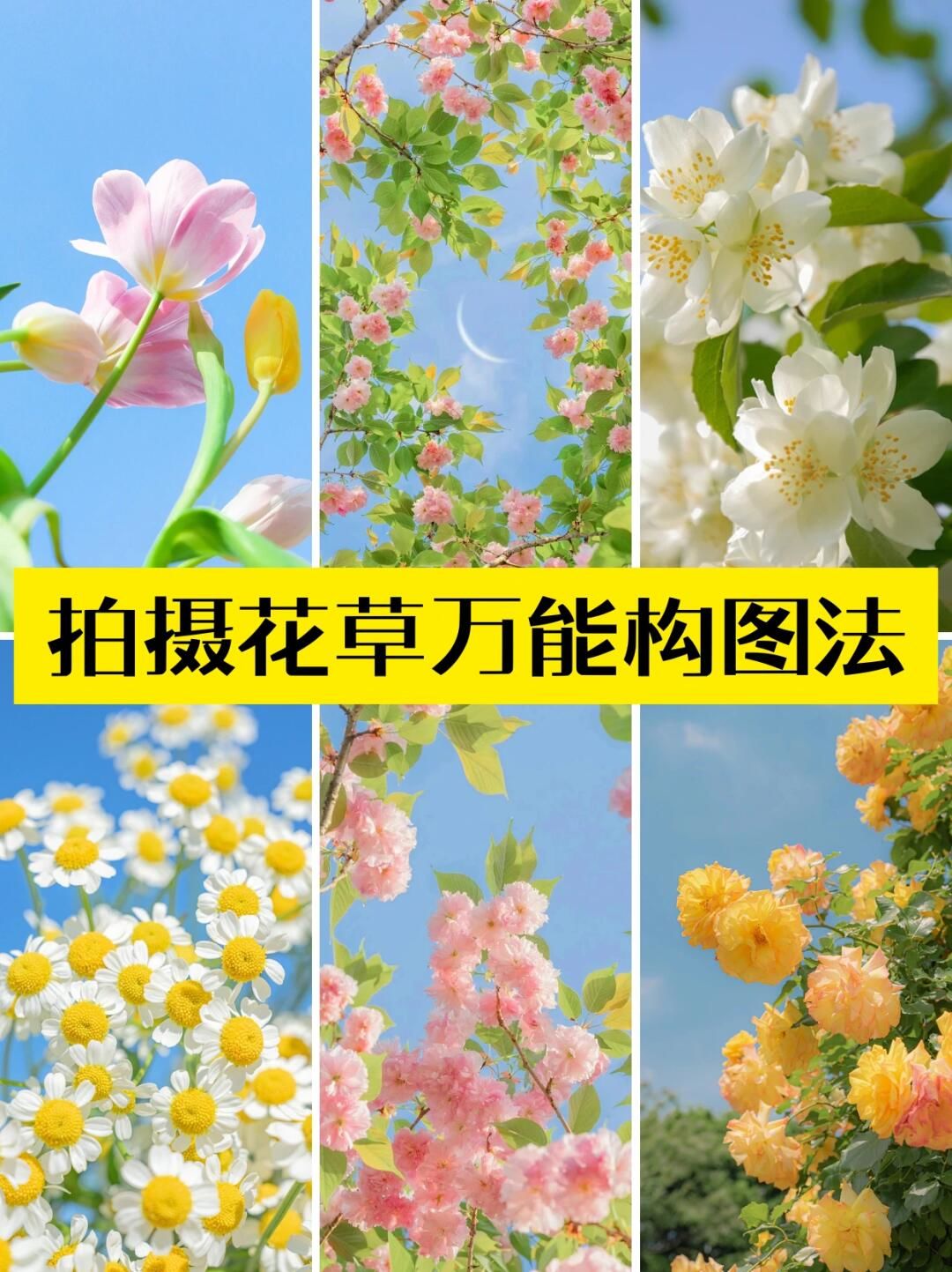 摄影竖屏拍摄技巧视频教程的简单介绍
