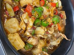 -龙小海荆沙鸽子店(瑞安街店)